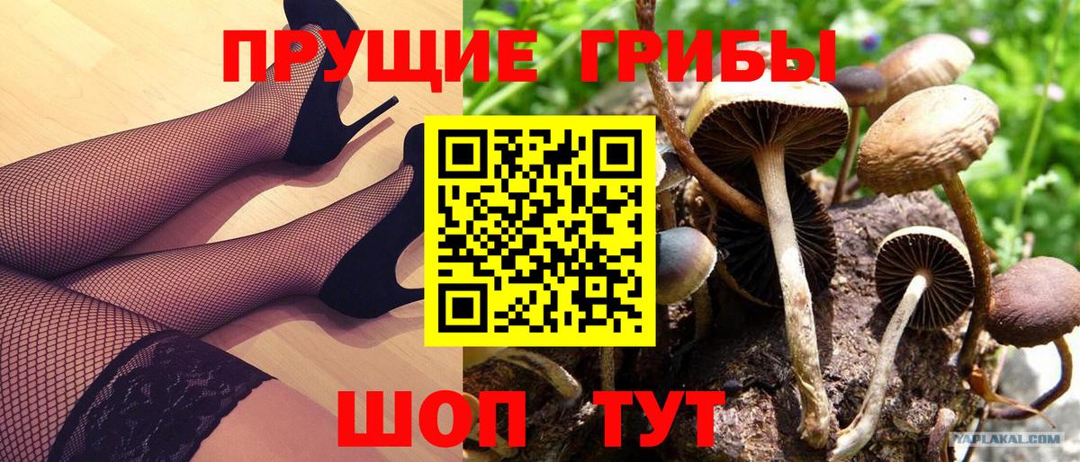 Псилоцибиновые грибы ЛСД Красноуфимск